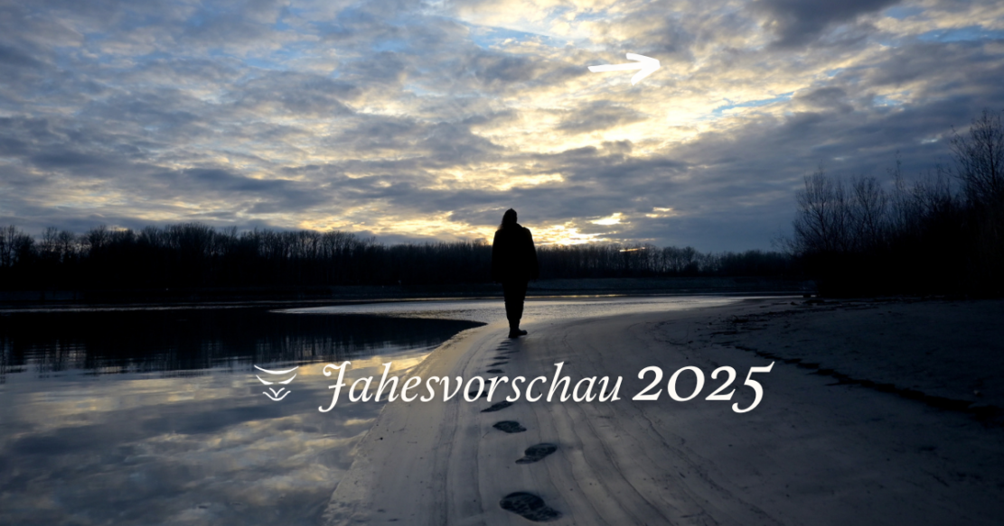 Jamesy spaziert einen Strand entlang in den Sonnenuntergang an der Donau. Seine Fußabdrücke ziehen sich vom Vordergrund bis in den Hintergrund, wo er gerade geht.